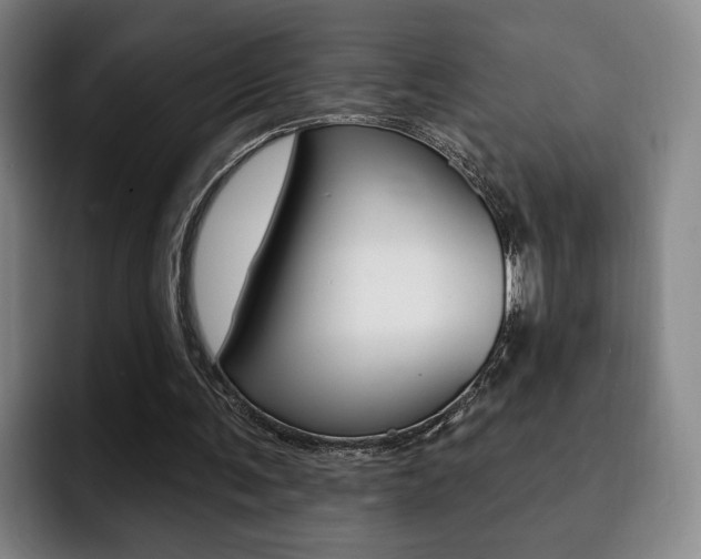X0000093090291200709260914