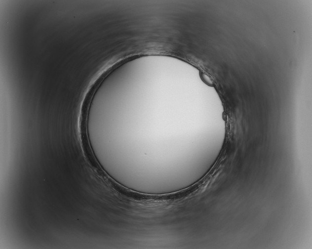 X0000093090292200709260914