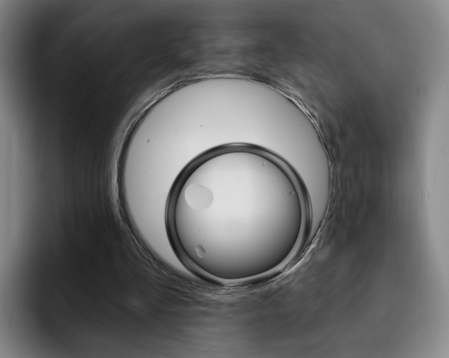X0000093090293200709260914