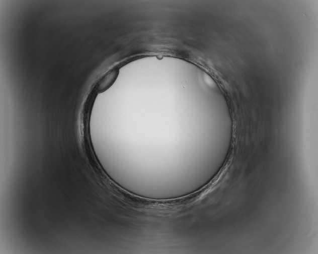 X0000093090294200709260914