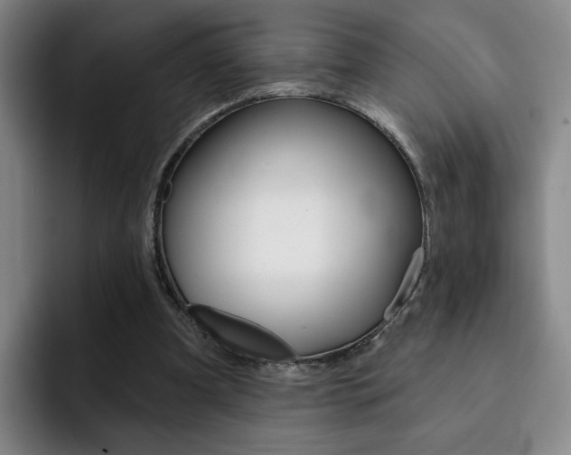 X0000093090297200709260914