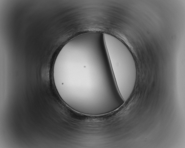 X0000093090299200709260914