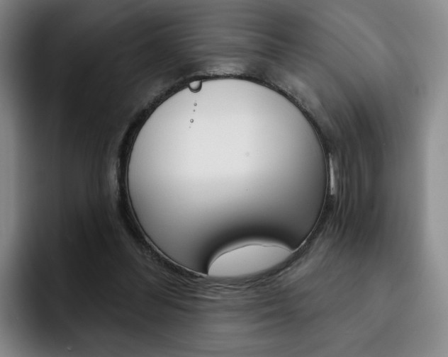 X0000093090300200709260914