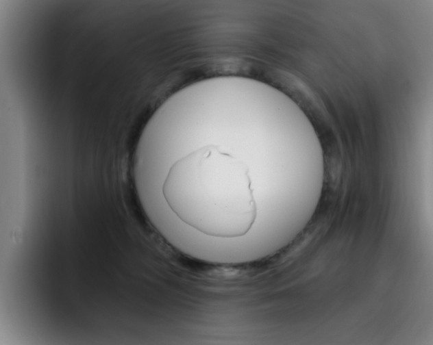 X0000093090326200709260913