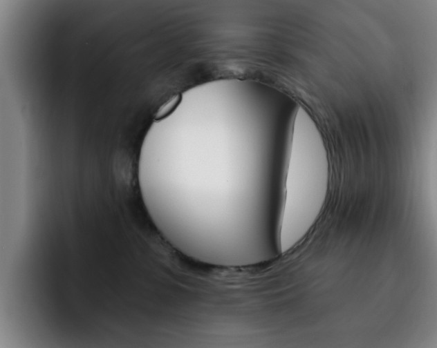 X0000093090331200709260913