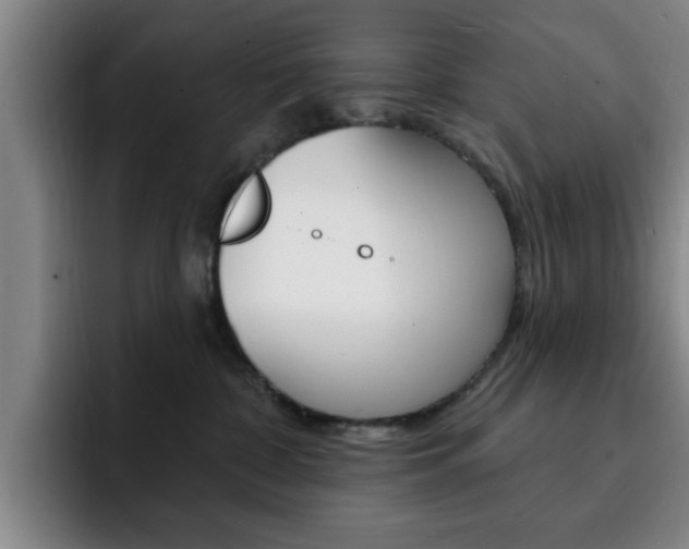X0000093090332200709260913