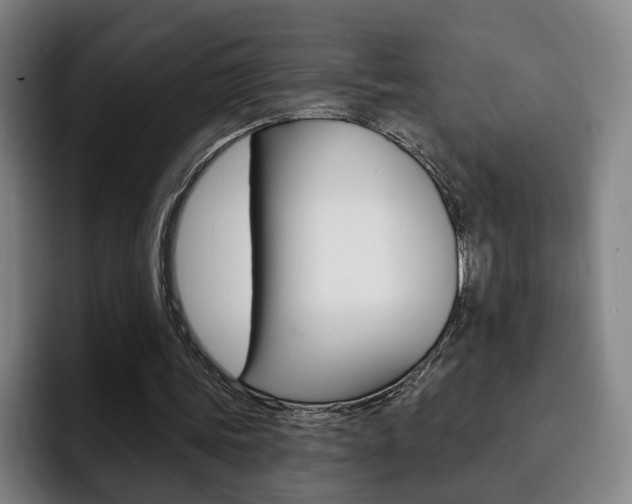 X0000093090339200709260913