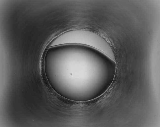 X0000093090340200709260913