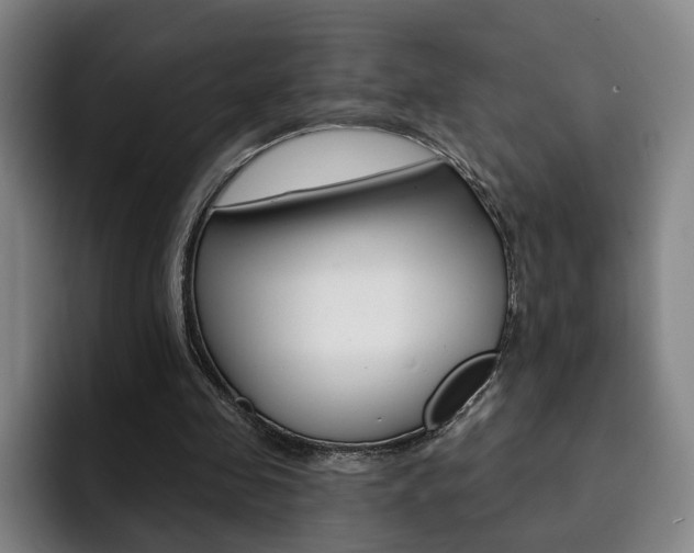 X0000093090341200709260913