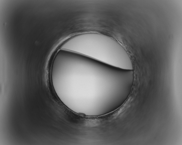 X0000093090342200709260913