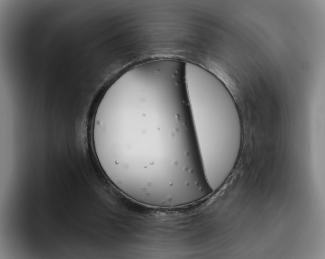 X0000093090346200709260913