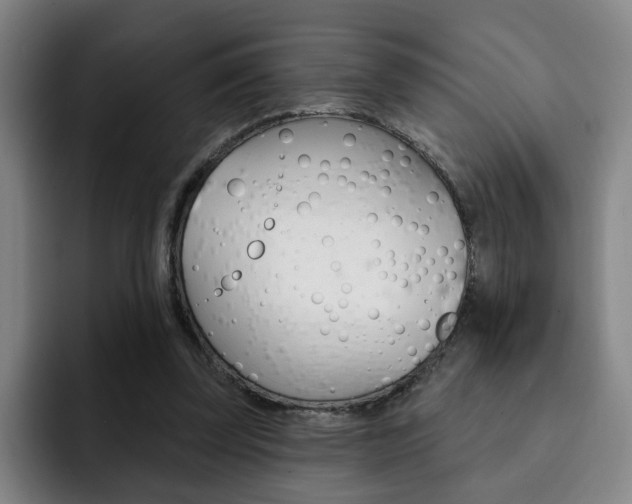 X0000093090347200709260913