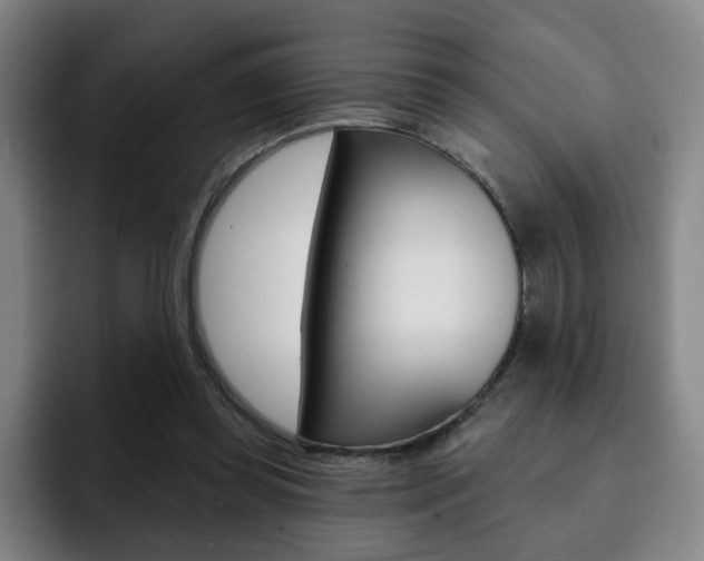 X0000093090349200709260913