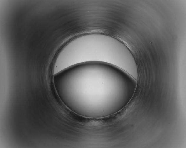 X0000093090350200709260913