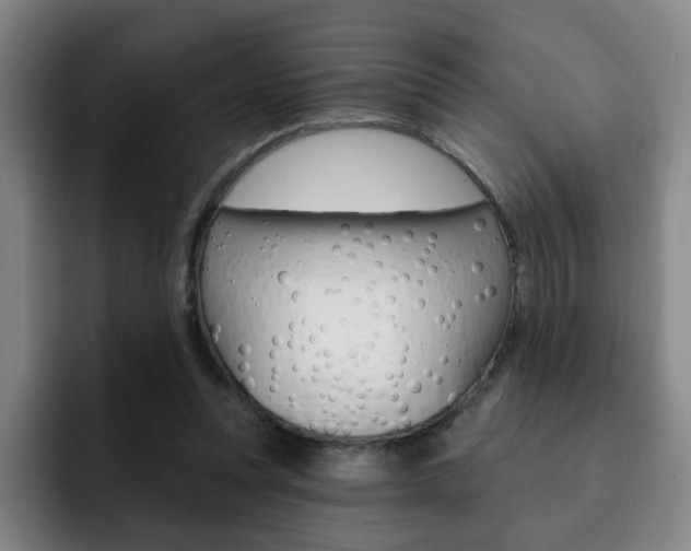 X0000093090351200709260913