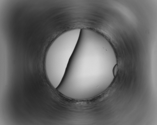 X0000093090353200709260913