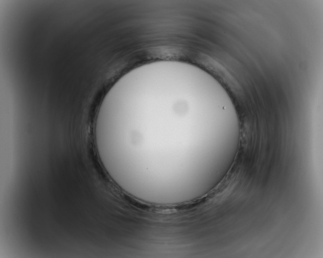 X0000093090355200709260913