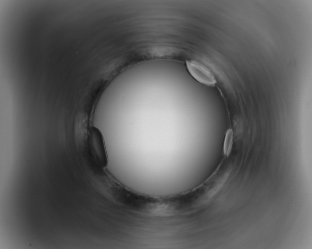 X0000093090356200709260913
