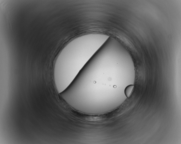 X0000093090361200709260913