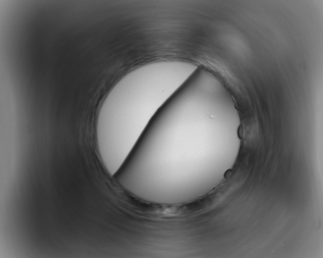 X0000093090365200709260913