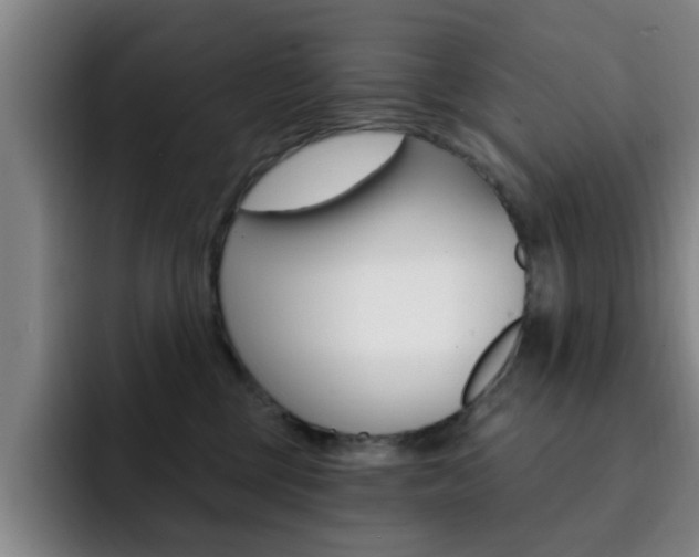 X0000093090377200709260913