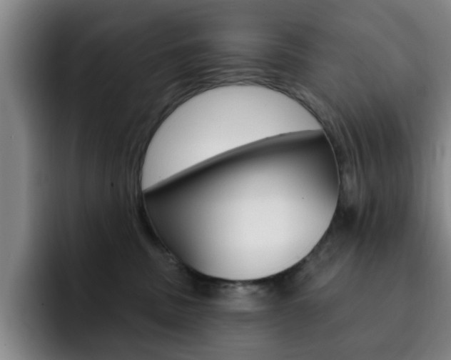 X0000093090379200709260913