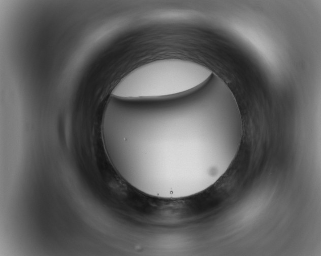 X0000093090382200709260913
