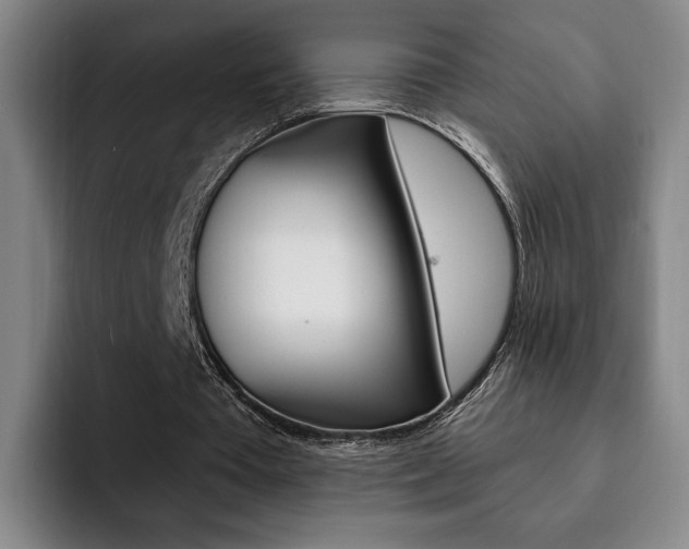 X0000093090385200709260913