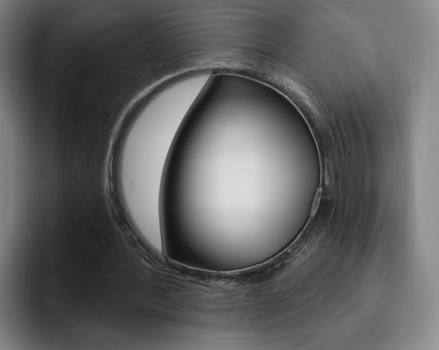 X0000093090388200709260913