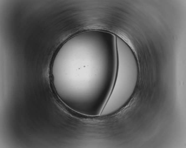 X0000093090389200709260913