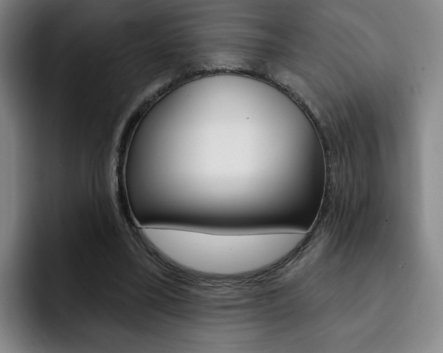 X0000093090395200709260913