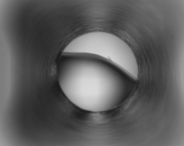 X0000093090425200709260912