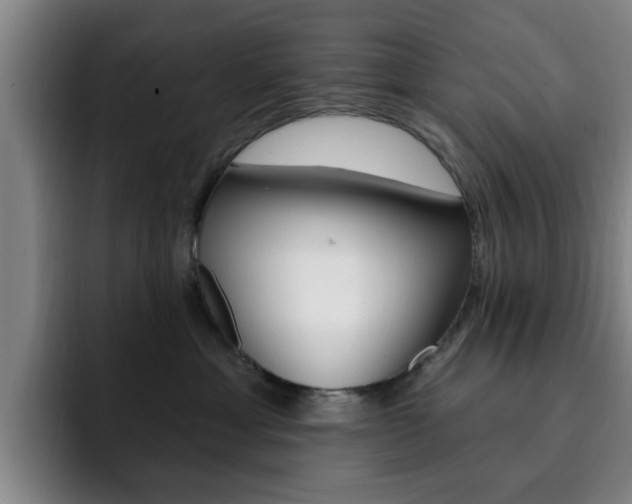 X0000093090429200709260912