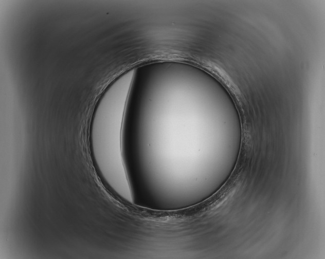 X0000093090433200709260912