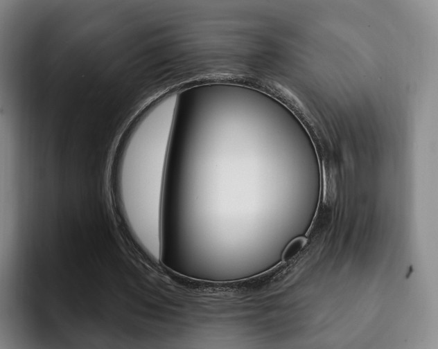 X0000093090435200709260912