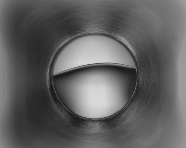 X0000093090439200709260912