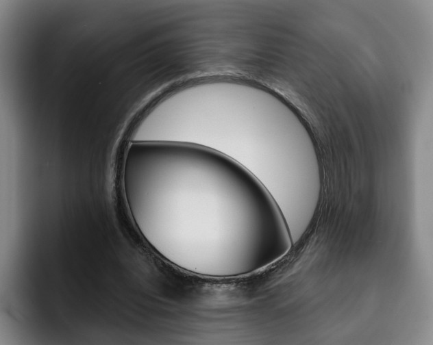 X0000093090440200709260912