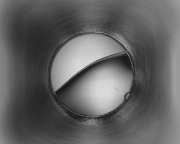 X0000093090441200709260912
