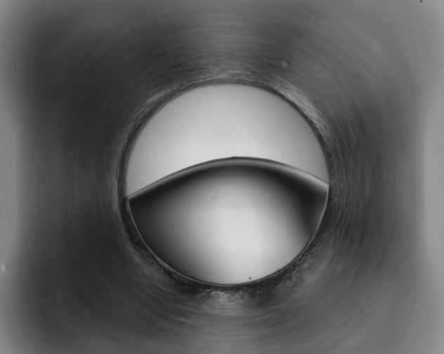 X0000093090442200709260912
