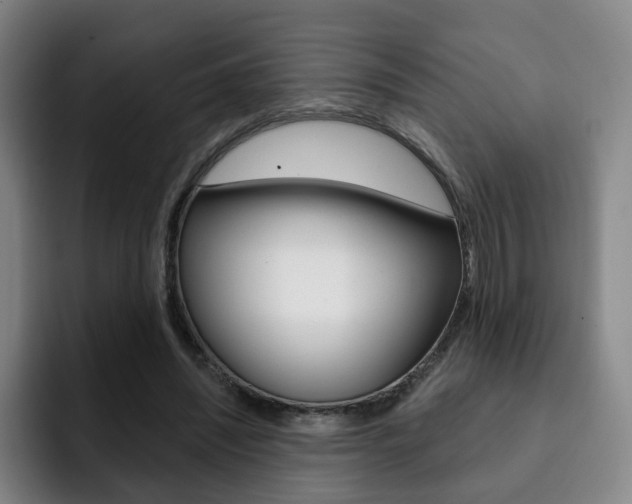 X0000093090444200709260912