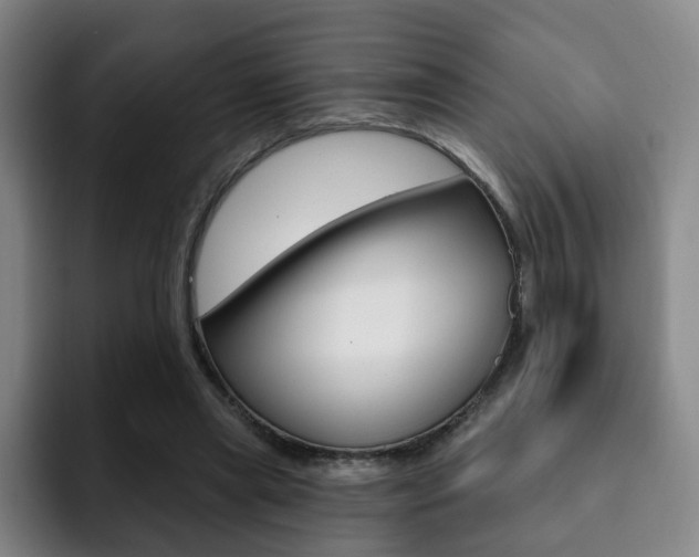X0000093090445200709260912