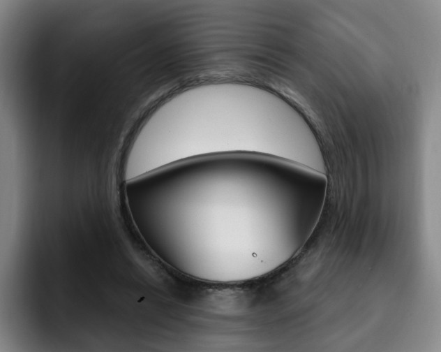 X0000093090446200709260912