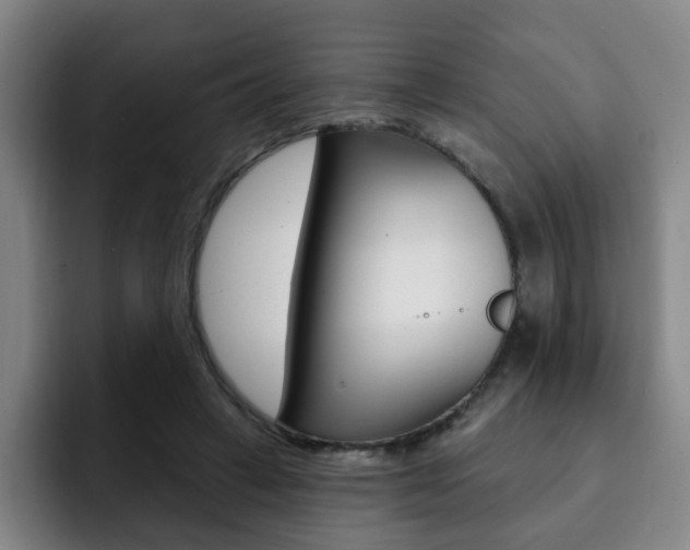 X0000093090449200709260912