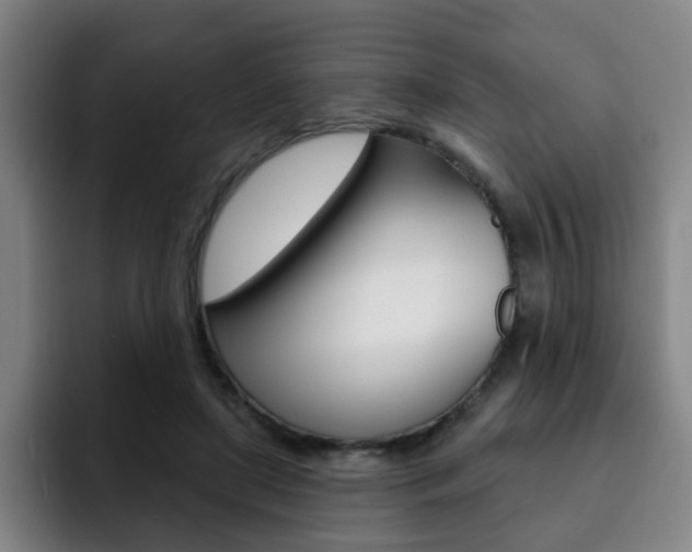 X0000093090451200709260912
