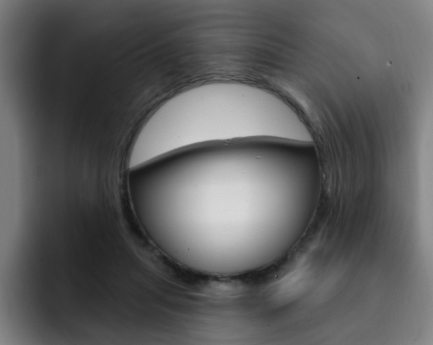 X0000093090455200709260912