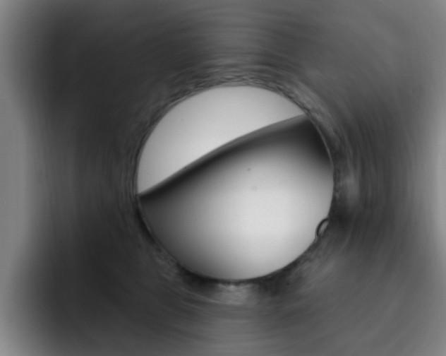 X0000093090469200709260912