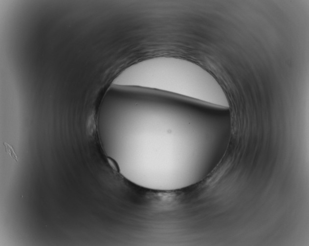 X0000093090478200709260912