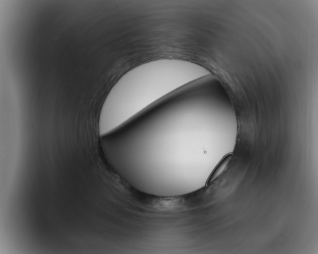 X0000093090479200709260912