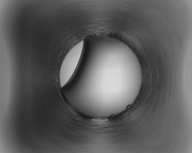 X0000093090480200709260912