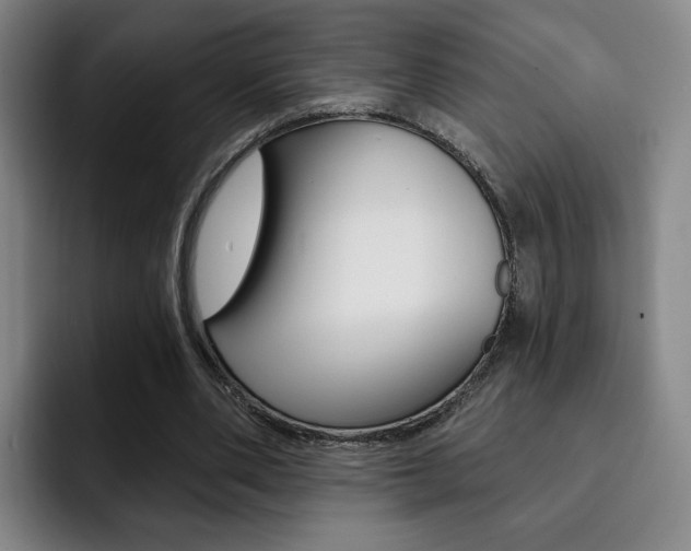 X0000093090486200709260912